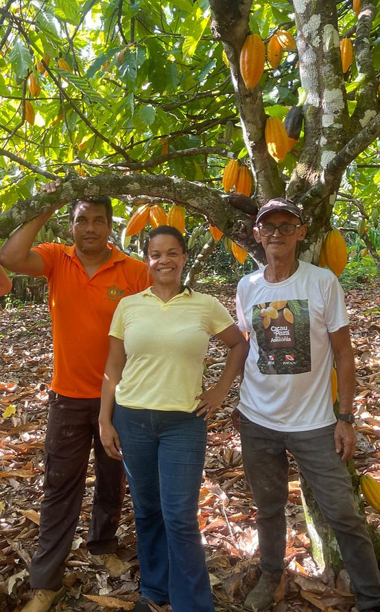 SunMint agroforestry canopy